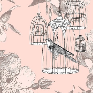 笼子里的鸟插画