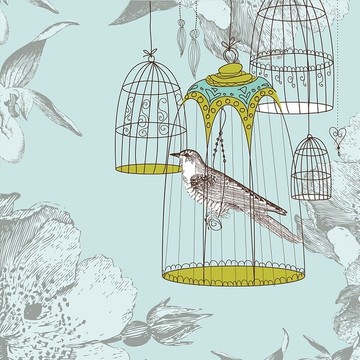 鸟在笼子里的插画