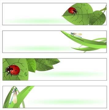 瓢虫和蜻蜓插图