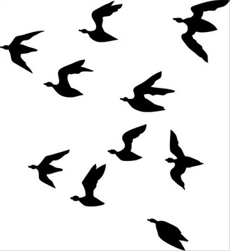 鸟类矢量图