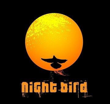 夜鸟