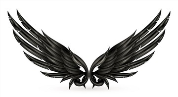 黑色翅膀