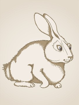 兔子矢量图