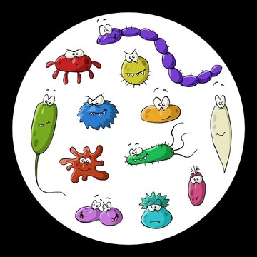 细菌插图