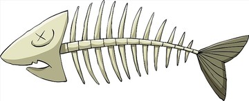 鱼骨矢量图