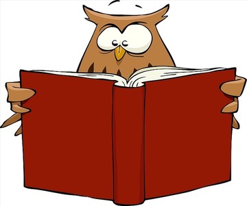 卡通猫头鹰在看书