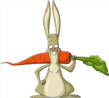 拿着胡萝卜的兔子