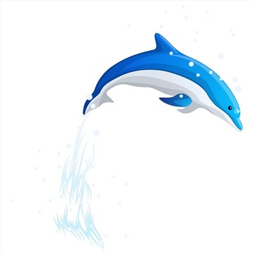 海豚矢量插画