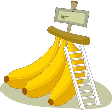 香蕉矢量插画