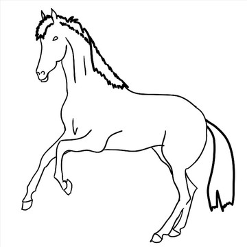 马匹剪影图