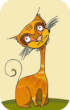 橙色猫长胡须
