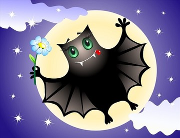 可爱的蝙蝠在夜空中