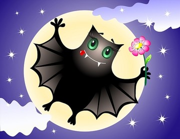 可爱的蝙蝠在夜空中
