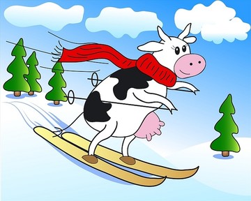 滑雪的奶牛