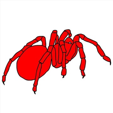 红色蜘蛛矢量图