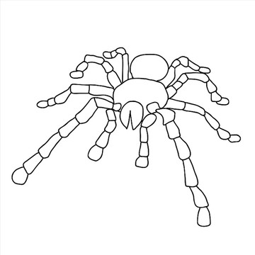 蜘蛛矢量图