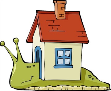 蜗牛背着一个房子矢量图