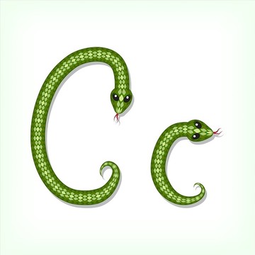 蛇体字母设计图