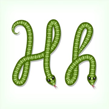 蛇体字母设计图