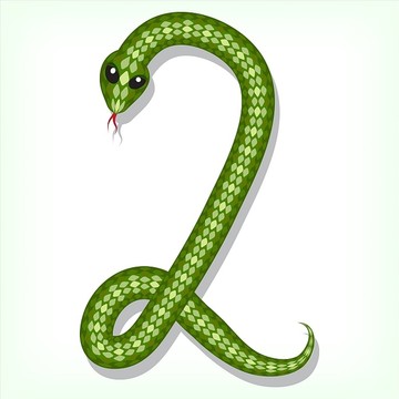 蛇数字设计
