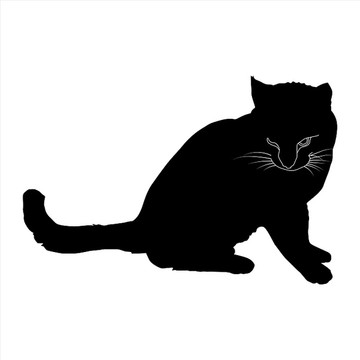 黑色猫咪剪影