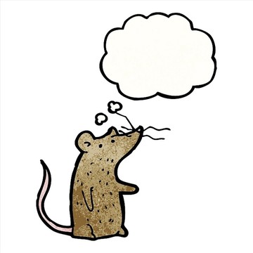 卡通动物老鼠插画