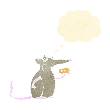 卡通动物小老鼠插画
