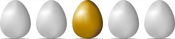 排在白色背景上的金白色卵