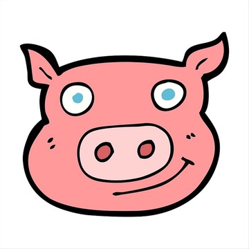 卡通动物猪脸插画