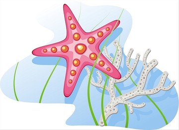 海星和水藻矢量插画