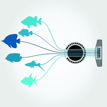 海洋鱼矢量图