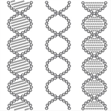 DNA螺旋体矢量插画