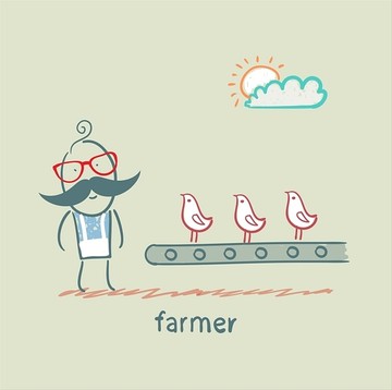 农民和小鸡