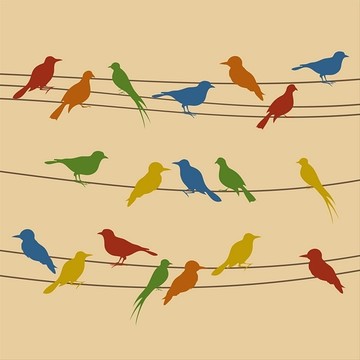 电线上的鸟矢量插画