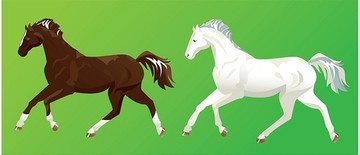绿色背景的两匹马
