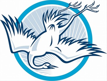 鹭鹤跳水卡通