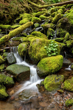 小溪流水