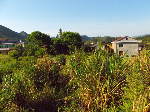 山乡美景