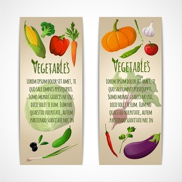 蔬菜的矢量插图