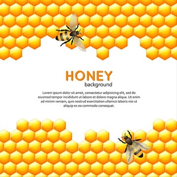 蜜蜂和蜂巢矢量插画