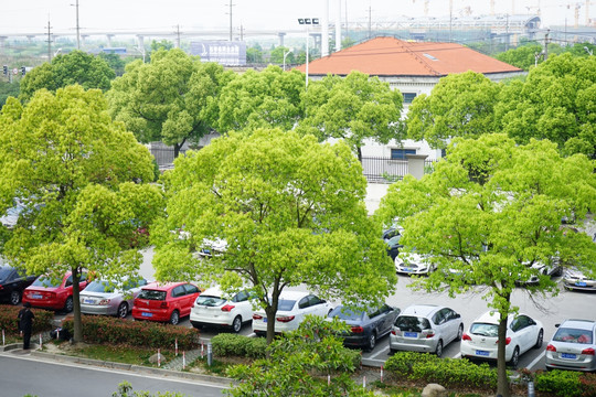 室外停车场