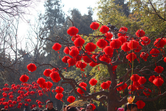 地坛庙会 春节 红灯