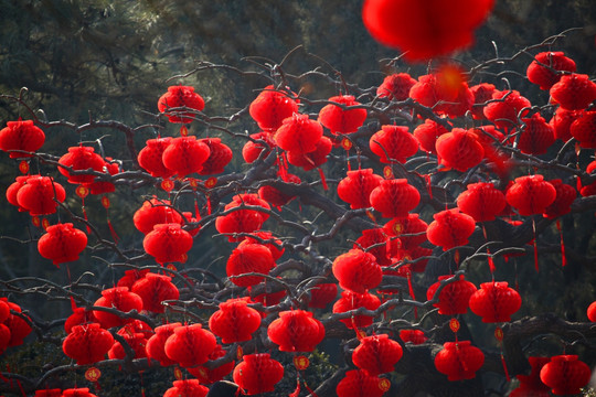 地坛庙会 春节 红灯