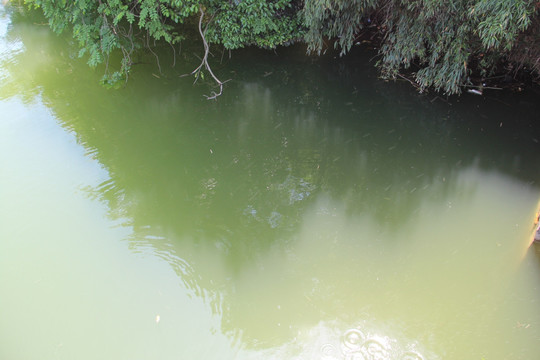 湖水