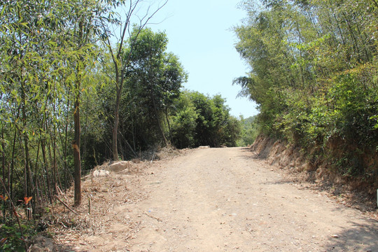 山路