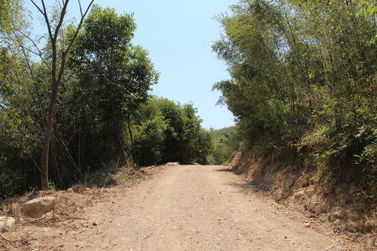 山路