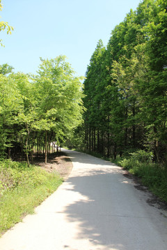 小路