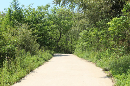 小路