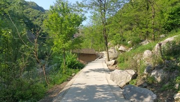 山间小路