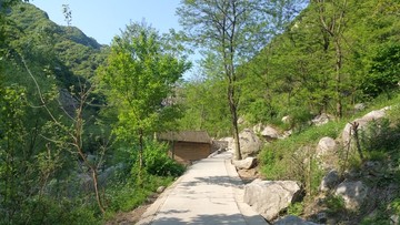 山间小路